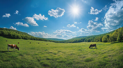 Wall Mural - Scenic pasture with grazing cows under a bright blue sky