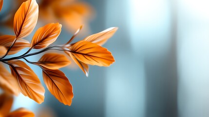 Wall Mural - Closeup of a branch with autumn leaves against a blurred background.