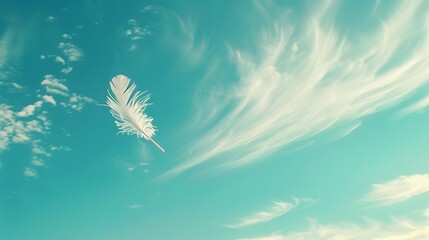 white feather on sky