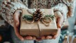 © Anna - Handcrafted natural gift wrapped in brown paper with pinecone decoration for christmas cheer