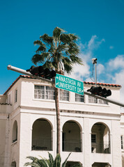 Wall Mural - city sign street building palm coral gables miami 