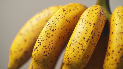 Realistic 3D Model of Yellow Bananas Cluster