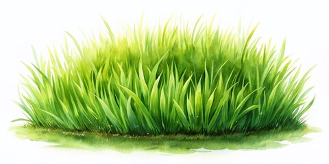 Green Grass Isolated on White Watercolor Background for Nature and Eco-friendly Designs