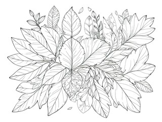  Coloring book illustration featuring intricate natural floral patterns for a creative, calming experience.