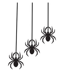 spider in the web black and white silhouette, for backgrounds and designers
