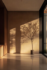 Sunlight casts shadows on a minimalist interior with a potted tree in a modern space