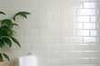 © Papukos - White subway tile bathroom wall with green plant and towel