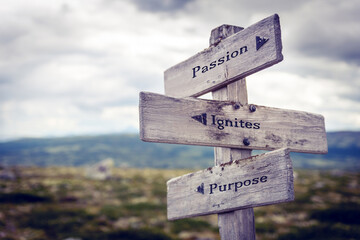 passion ignites purpose text quote written on wooden signpost at the crossroads outdoors in nature.