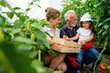 © NDABCREATIVITY - Happy senior man working together with family in greenhouse business. People organic food concept.