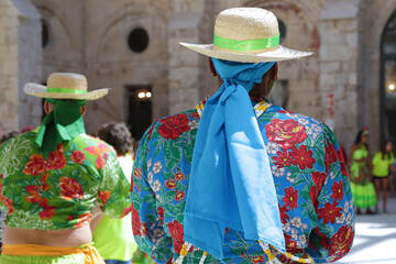 Wall Mural - Dancers dancing and wearing one of the traditional folk costume from Brazil