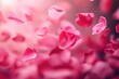 © Vii - A close-up view of pink flower petals