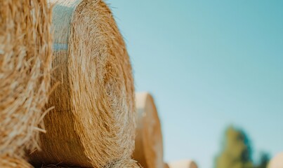 Wall Mural - large stacks of hay bales under a clear sky, Generative AI