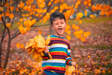 A Joyful Child Happily Playing Amongst Vibrant Autumn Leaves in Beautiful Colors