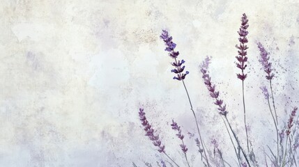 Poster - Lavender stems swaying against a distressed grunge backdrop for serene wallpaper