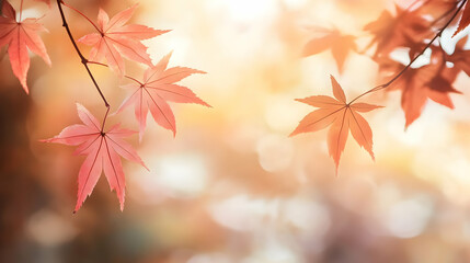 Canvas Print - Autumn Leaves on a Branch with Sunlight Background - Illustration