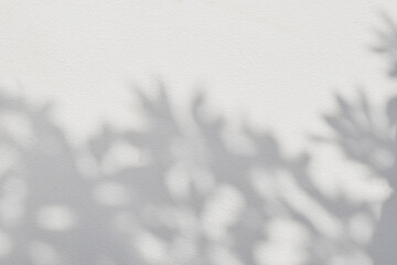 Aufkleber - Leaf shadow and light on wall blur background. Nature tropical leaves plant tree branch shade sunshine . Sunlight on white wall texture for background wallpaper, shadows overlay effect foliage mockup
