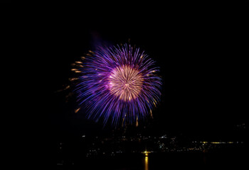 Poster - A vibrant purple and pink firework bursts against a black night sky, isolated from the distant cityscape reflected in the water below.