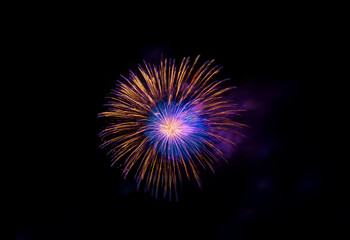 Canvas Print - A single firework explodes in a burst of purple and gold against a black background.