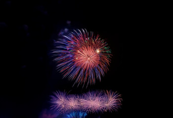 Canvas Print - A vibrant burst of fireworks against a dark sky.