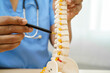 © manassanant - Asian doctor holding spinal nerve and bone model, Lumbar spine displaced herniated disc fragment for treatment medical in the orthopedic department.