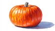© Amirian - A single, ripe orange pumpkin isolated on white.
