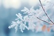 © Rawpixel.com - Branch snow snowflake outdoors.