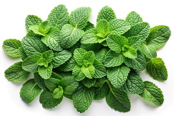 Poster - Fresh mint leaves isolated on white background