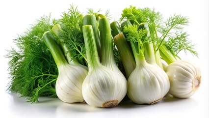 Wall Mural - Fresh organic fennel bulbs with green leaves isolated on white background