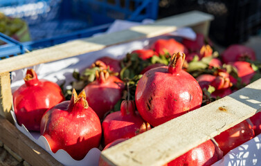 Wall Mural - Fresh fruit stall concept, pile of pomegranate in the black box basket from farmer for sale, red fruit for texture background around the market