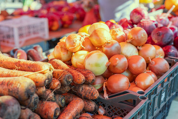 Wall Mural - Onion just picked from the field. Fresh onions. Onions for background. Ripe onion. Onions found on the market stall. Onion concept.