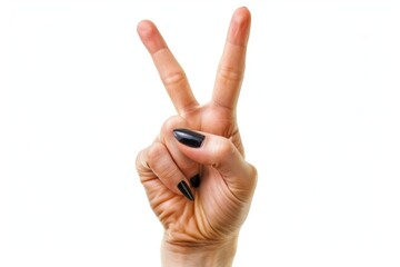 Canvas Print - Hand gesture peace sign