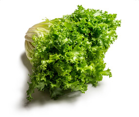 Head of escarole salad