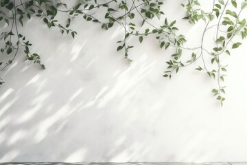 A white wall with green leaves and shadows architecture plant leaf.