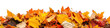 © Ilyas - Autumn-colored maple leaves, heaped, displayed on a transparent background.