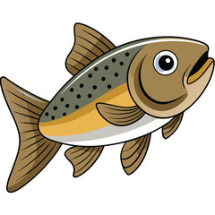 Trout fish vector illustration Isolated white background.