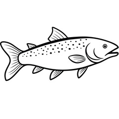 Trout fish line art vector illustration Isolated white background.