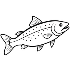 Trout fish line art vector illustration Isolated white background.