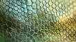 © W.O.W - Green snake skin texture. Texture of iridescent snake skin.