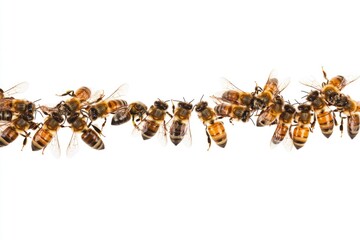 Sticker - A group of bees on a white background