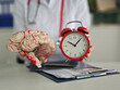 © Nadzeya - Doctor holding an artificial model of human brain and alarm clock