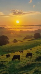 Canvas Print - Cows grazing peacefully on lush green hills at sunset near a tranquil river