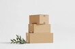 © Lui Shtein - Eco-friendly stacked cardboard boxes with greenery on white background