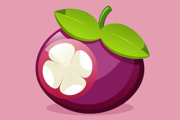 Wall Mural - Delicious fruit mangosteen vector art illustration