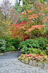 Wall Mural - Beautiful autumn deciduous tree foliage in full red, orange and yellow colours in mid autumn in Butchart gardens, Victoria, BC