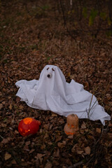 Wall Mural - Jack Russell Terrier dog in a ghost costume for Halloween in the woods.