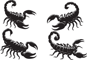 Wall Mural - Scorpion silhouette vector EPS  SET