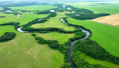 Aerial view of green field, feel the beauty of nature.