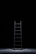 © MaxStock - black ladder in dark space