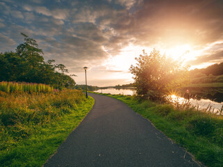 Wall Mural - a path runs along a river with a tree on the side. the sky is cloudy and the sun is setting. calm an