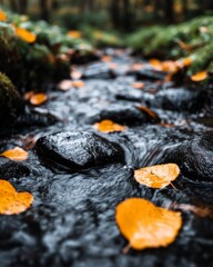 Wall Mural - A serene stream with smooth stones and autumn leaves floating.